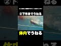 【衝撃】上級者のバタフライの泳ぎ方は別格！初心者でもできるバタフライを速く泳ぐ方法#shorts