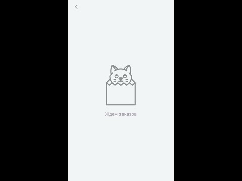 Dark Store обучение
