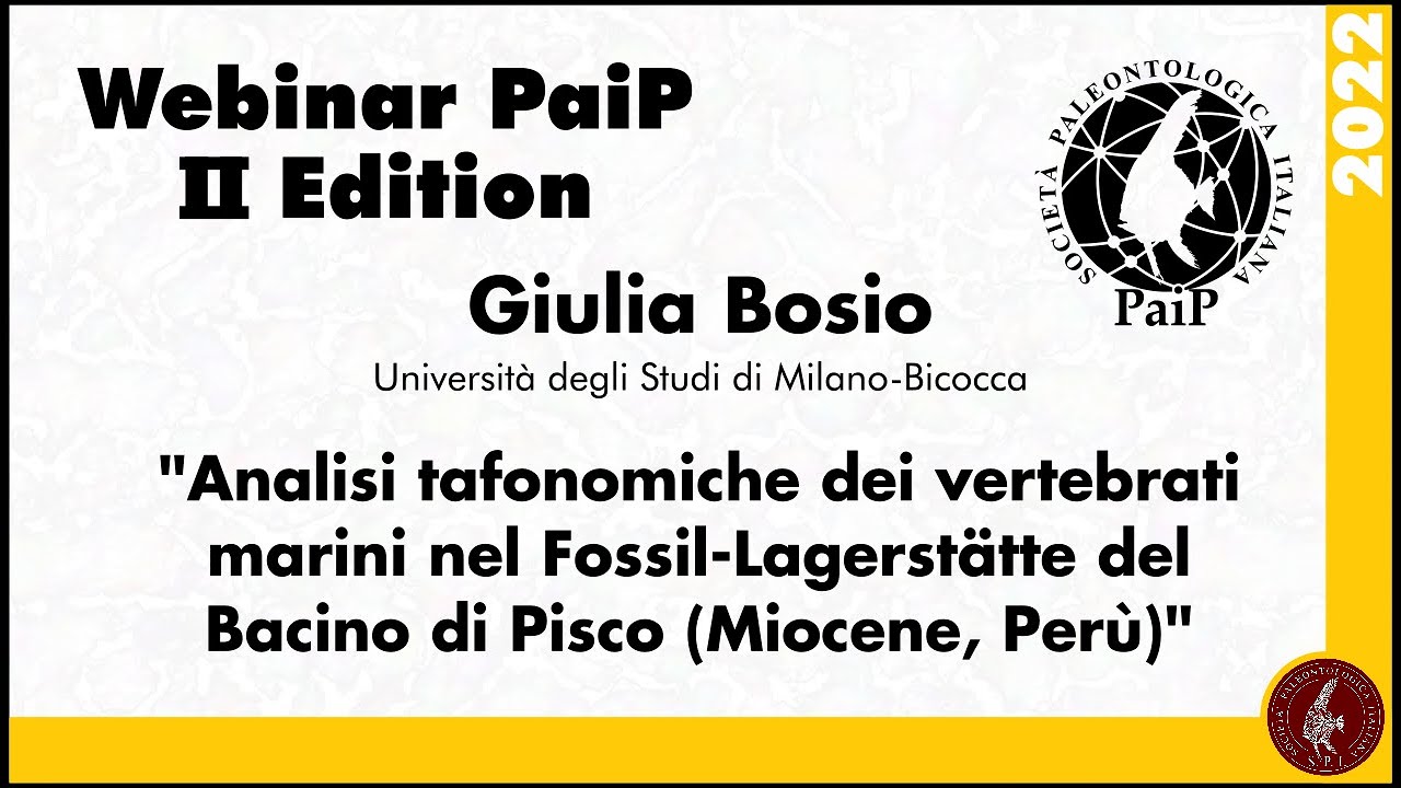 Analisi tafonomiche dei vertebrati marini nel Fossil-Lagerstätte del Bacino di Pisco (Miocene, Perù)