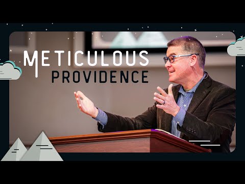Meticulous Providence | February 19, 2024 | Exodus 1:22-2:10