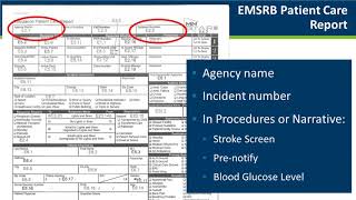 Monthly Stroke Webinar: Stroke Efforts in EMS (October 2019)