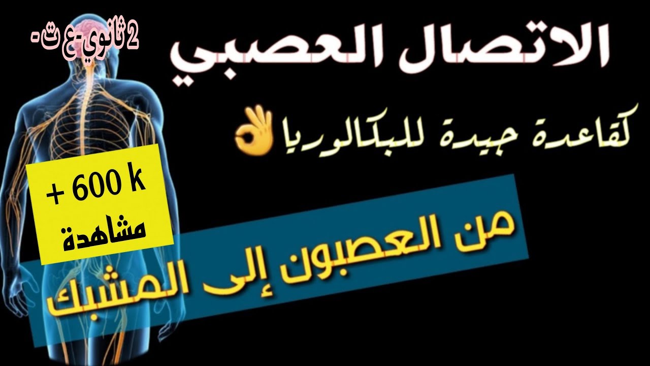 الاتصال العصبي✍️ ملخص شامل🔥للسنة 2 ثانوي[علوم تجريبية] راجع جيدا 😎  واستعد للبكالوريا💯