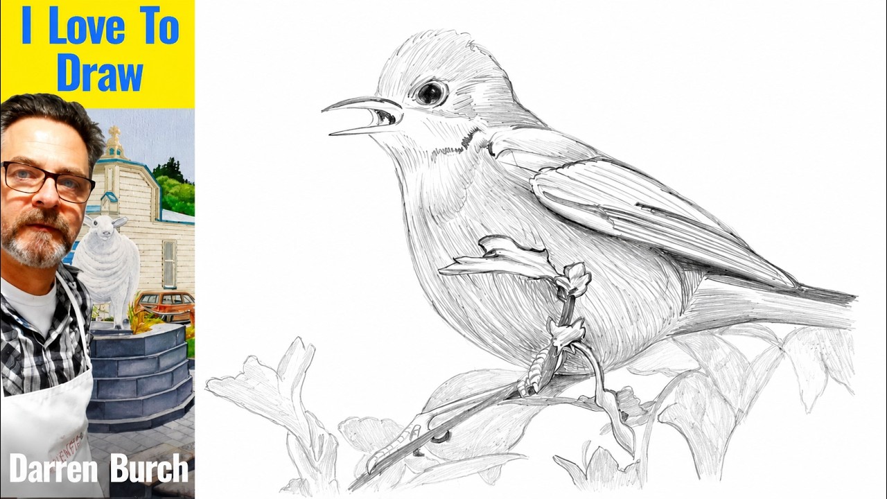 Freehand Picture of Warbler Love Bird. Quick Pencil Drawing - YouTube
