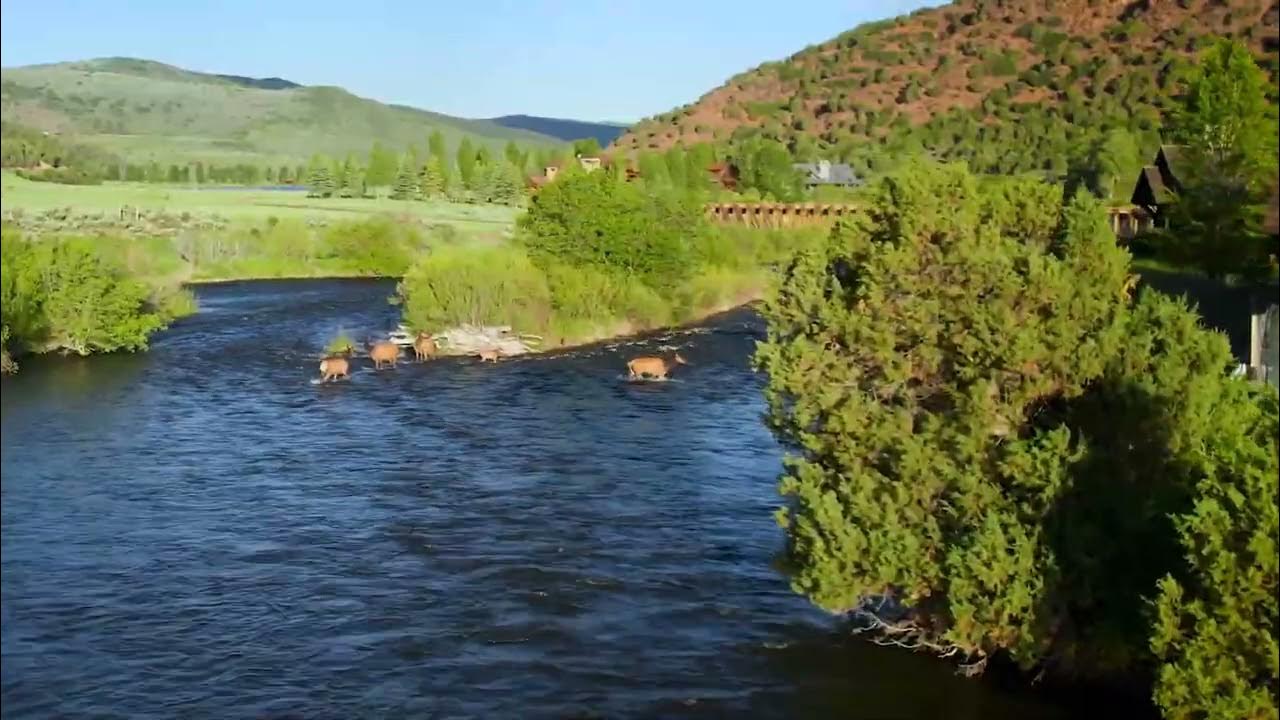 Hunting at Elk Creek Ranch in Meeker, Colorado YouTube