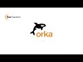 How To Purchase Orka Small Teams