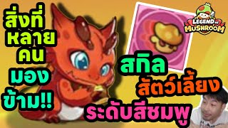 สิ่งที่หลายคนมองข้าม สกิล สัตว์เลี้ยง ระดับสีชมพู