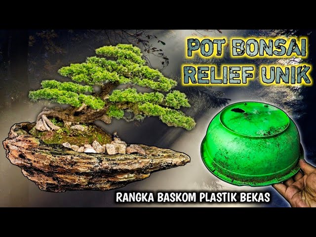 TEHNIK MUDAH MEMBUAT POT BONSAI RELIEF BAGI PEMULA MENGUBAH BASKOM BEKAS  JADI POT RELIEF UNIK