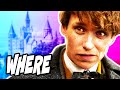 A NEW School of Magic Will Be in Fantastic Beasts 3 - Harry Potter Theory