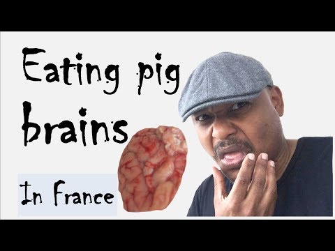 I ate Pig Brains... I couldn't have predicted what happened next.