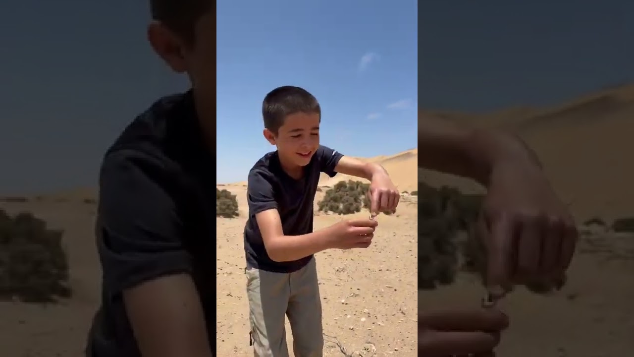 How to catch a lizard. Subscribe for more helpful tips 😅