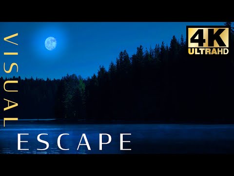 Moonlight over Lake 🌕  😴  Sleepy acoustic music to fall asleep to