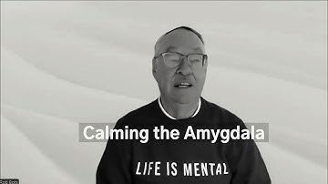 03 Calming the Amygdala