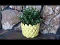 On the flydiy pineapple planter