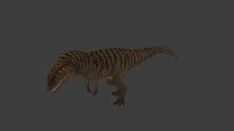 Animation Portfolio - PolygonalNacho