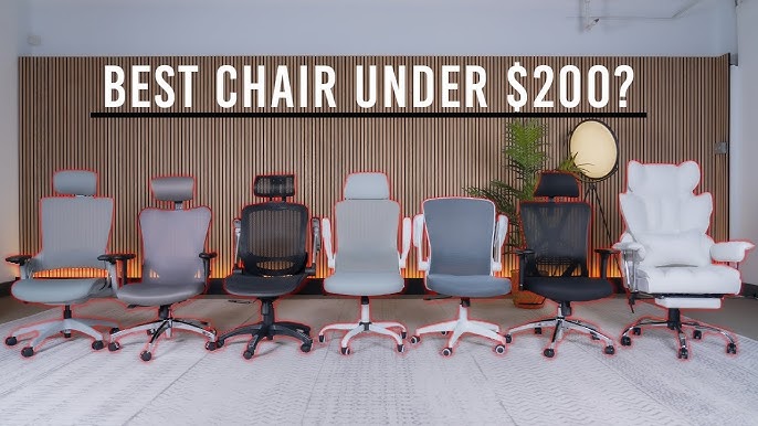 Our Guide to the Best Office Chairs in Canada in 2024 (And Where to Get  Them)