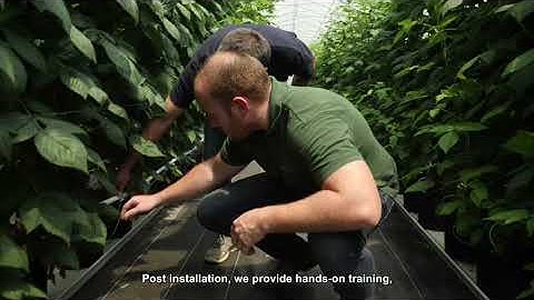 Rivulis irrigation - Corporate video