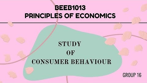 BEEB1013 | Group 16 | Consumer Behaviour