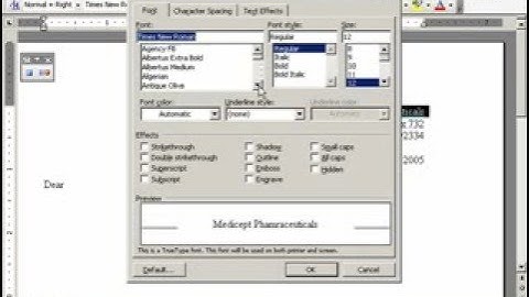 LearnKey Office 2003 Macros: Word