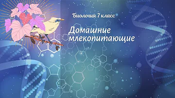 Биология 7 кл Пасечник §57 Домашние млекопитающие
