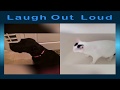Watch & LAUGH OUT LOUD - Funniest ANIMALS & PETS #65