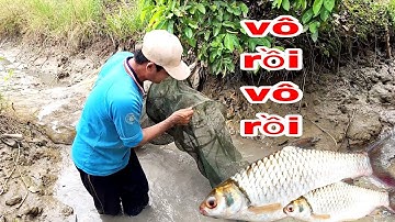 Dở Lú Trúng Mánh Dính Cụ Cá Dảnh Già Lâu Năm Làm Món Cá Kho Ăn Kèm Gỏi Đu Đủ | TTVlog # 130