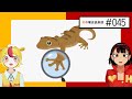 おむらいすまみれラジオ#045「この動物の能力が自分にあったらいいのになあ〜!!!!」