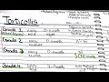 Grades Of Torticollis| Easiest explanation | Part 1| Urdu/ Hindi #torticollis #gradesoftorticollis
