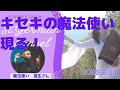 セントジャーメインチャネル スペシャルライブ  スピリチュアル セドナ アセンション