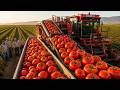 How Your Everyday Food Is REALLY Made — The Insane High-Tech Farming You Never See