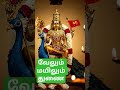 #murugan #devotional #murugan songs #tranding #palani