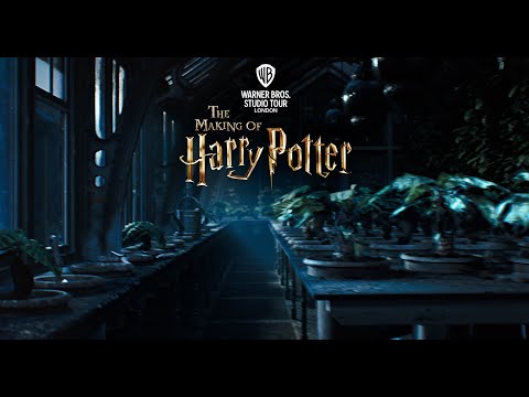 Video Harry Potter Studios