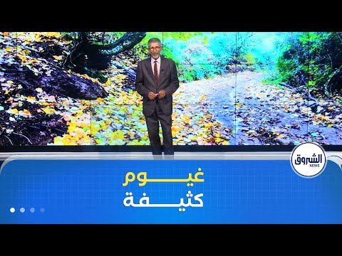 أحوال الطقس ليوم الاثنين 24 نوفمبر 2025