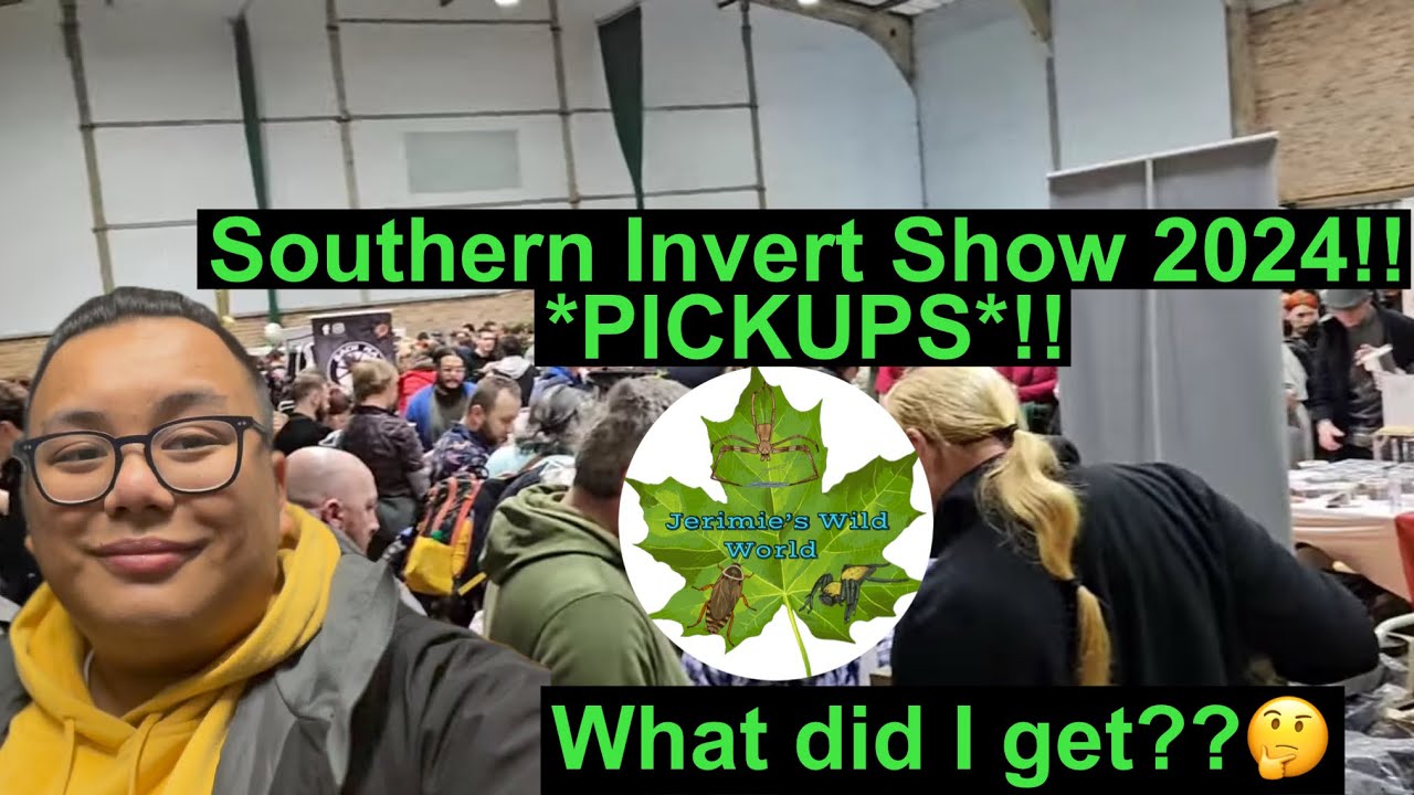 Southern Invert Show 2024 *PICKUPS*!!