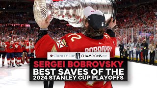 Best Of Bobrovsky 2024 Stanley Cup Playoffs