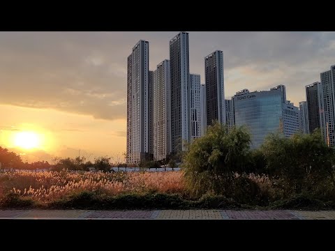 Evening walk - Sunset / Goyang City, Ilsan District. October 2021 / Virtual Korea