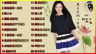 20 lagu mandarin Wei Xin yu 魏新雨