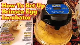 How To Set Up Brinsea Mini II Advance Egg Incubator To Hatch Eggs/ Easy Step By Step Guide