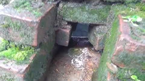 Reverse flow of water