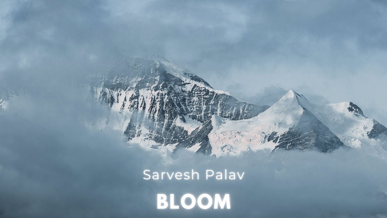 Ver Sarvesh Palav - Bloom en YouTube Ver Sarvesh Palav - Bloom en YouTube