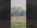 20x zoom test s24 ultra🤫#youtubeshort#viralvideo #ytshorts#s24ultra#zooming#s24ultravsiphone16zoom
