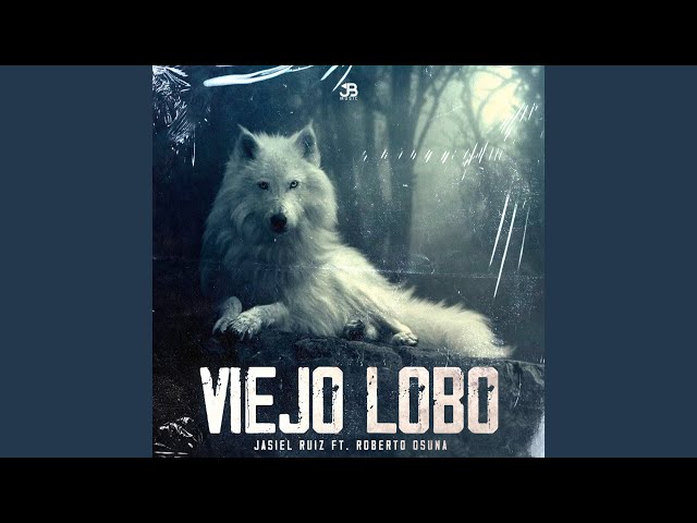 Viejo Lobo class=