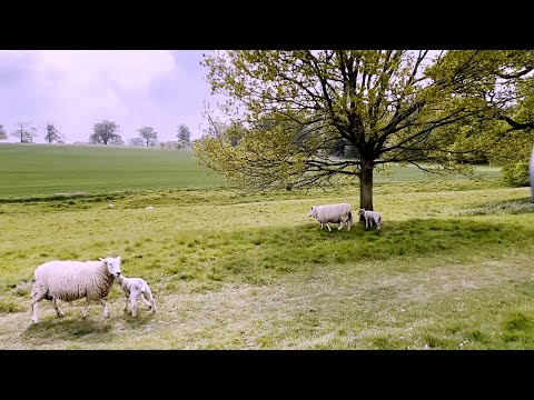 Beautiful is England, Series 2 (4K) — Hiking “Ickworth Monument Multi-use Trail” in Suffolk