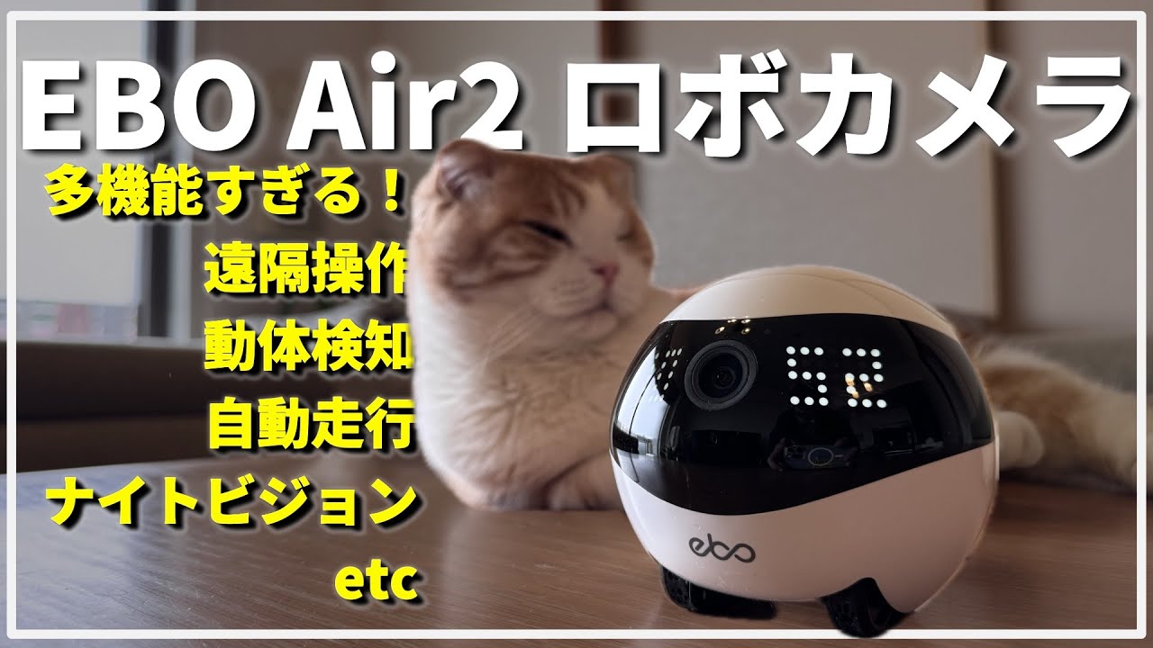 Must see for those with pet dogs and cats] Amazing robot camera