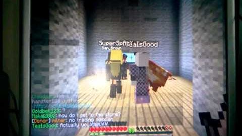 A video of skyblock.net