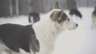 Люди! Давайте быть людьми! Люди! Давайте быть людьми!
