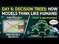 Day 6: Decision Trees