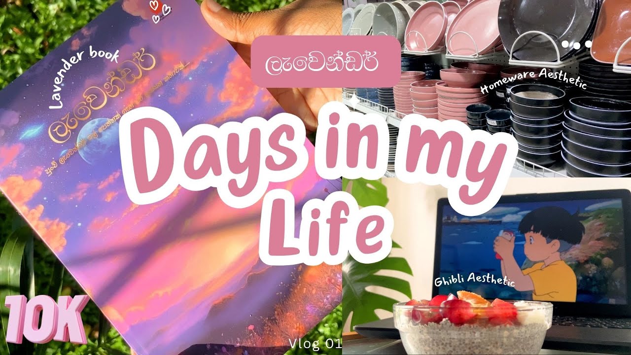 ලැවෙන්ඩර් මගේ මුල්ම vlog එක | ලැවෙන්ඩර් - Lavender  book📓 | Baking🍪 | Shopping🛒 | Book review  📖