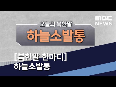 [북한말 한마디] 하늘소발통 (2021.01.23/통일전망대/MBC)