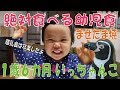 いっちゃんこ　１歳６カ月　絶対残さず食べる幼児食　離乳食卒業！まぜたま焼き