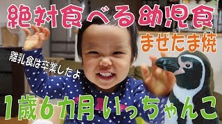 いっちゃんこ　１歳６カ月　絶対残さず食べる幼児食　離乳食卒業！まぜたま焼き